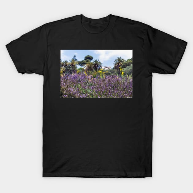 Lush purple sage flowers with palms in the background T-Shirt by lena-maximova